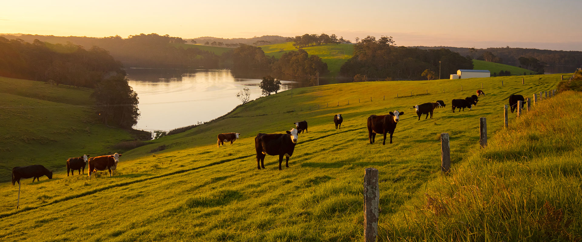 Imagem fazenda